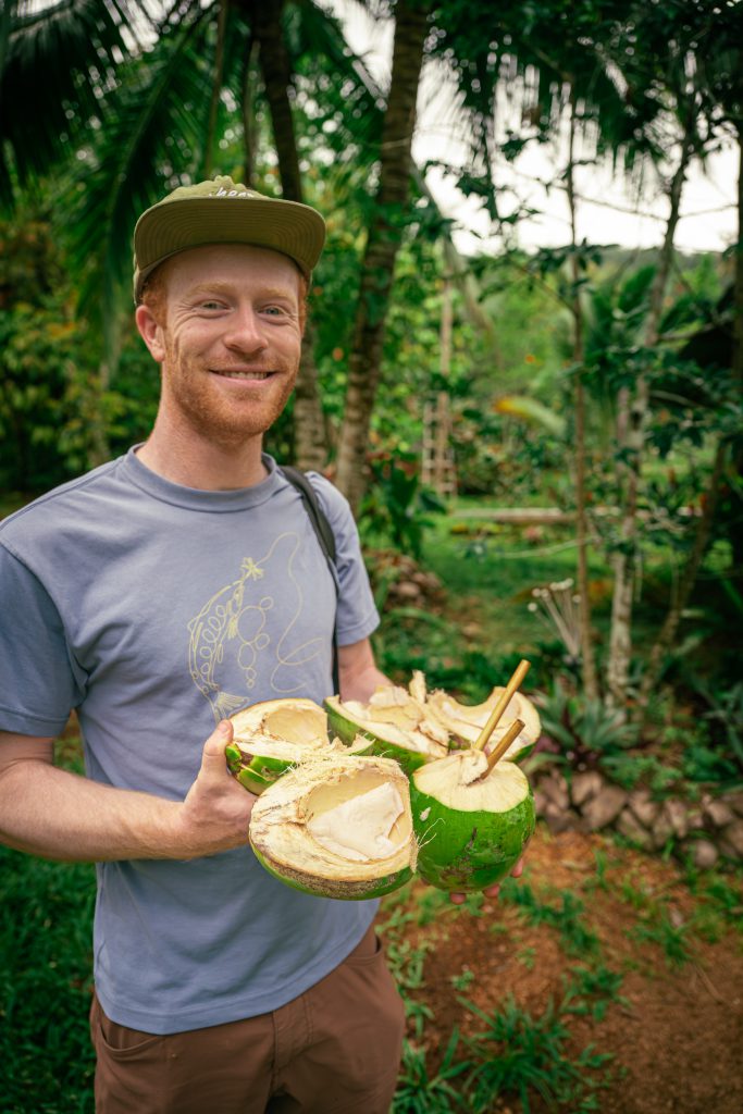Coconut Party